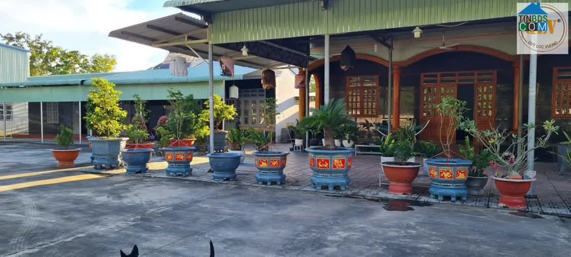 Bán nhà xưởng – ĐT 749A – 1.600m² – Bán kho xưởng Quận Tân Bình – TP Hồ Chí Minh giá Dưới 3 tỷ