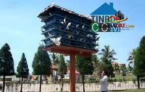 Bán Biệt Thự Sang Trọng 300m² 2 Mặt Tiền Khu Tên L… – Bán biệt thự Quận Bình Tân – TP Hồ Chí Minh giá Thỏa thuận