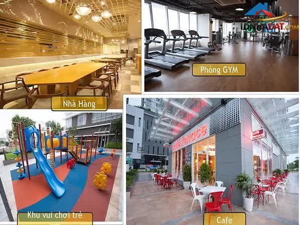 Căn hộ chung cư Lavida Plus – Quận 7 – Hồ Chí Minh – 65 m² – 5.5 tỷ