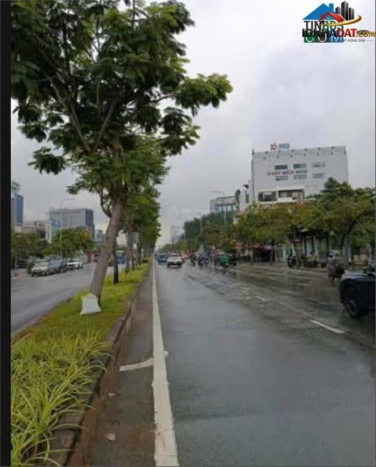 Bán đất đường 12 phường Bình An quận 2 Hồ Chí Minh diện tích 290 m² giá 61.5 tỷ