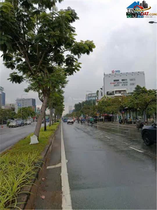 Bán đất đường 12 phường Bình An quận 2 Hồ Chí Minh diện tích 290 m² giá 61.5 tỷ