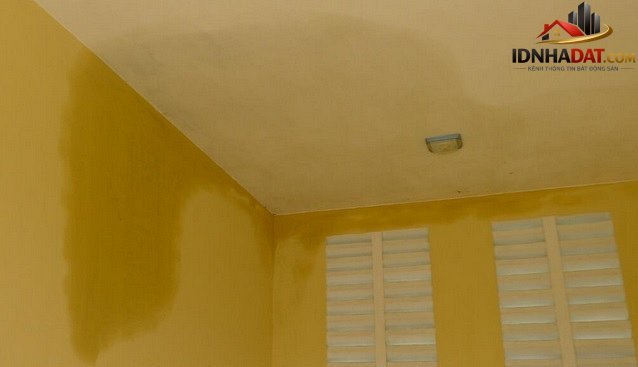 Những vị trí nào trong nhà dễ bị thấm dột nhất - Ảnh 1. Những vị trí nào trong nhà dễ bị thấm dột nhất - Ảnh 1.