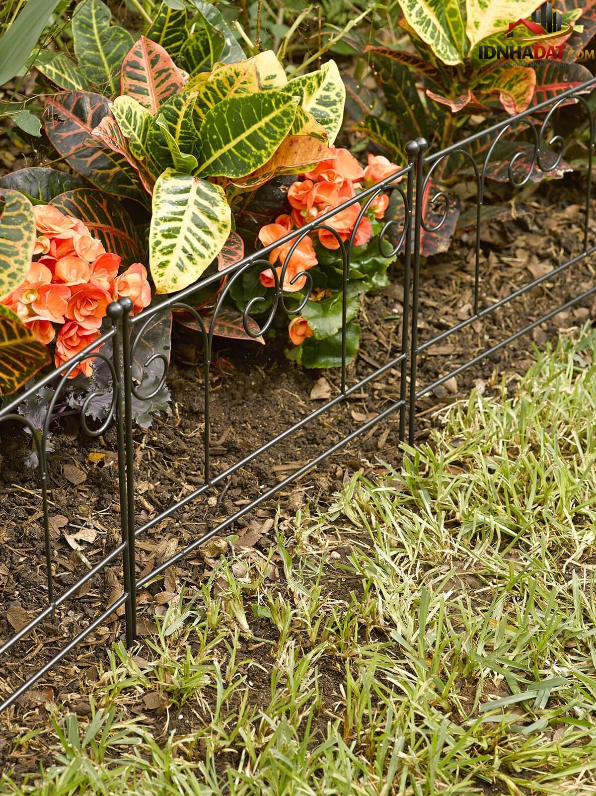 Tuyệt chiêu biến sân vườn trở nên ấn tượng - Ảnh 3.