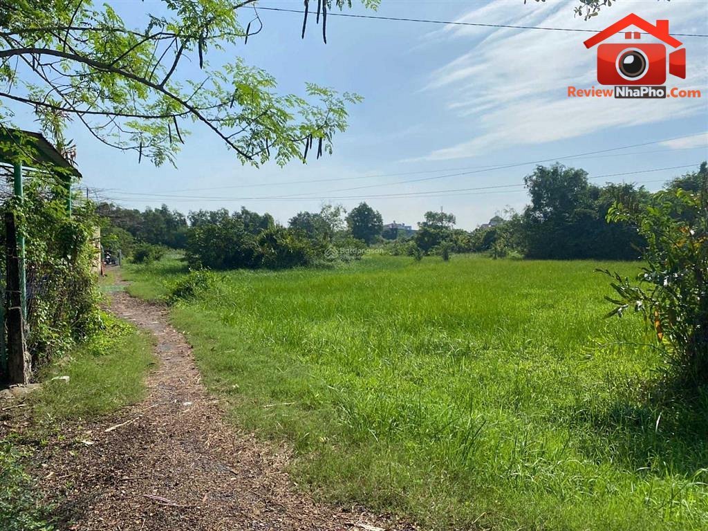 1000 m² – 9 tỷ – Cần bán đất nông nghiệp Phường 28, Quận Bình Thạnh – Thành phố Hồ Chí Minh REVIEW NHÀ PHỐ