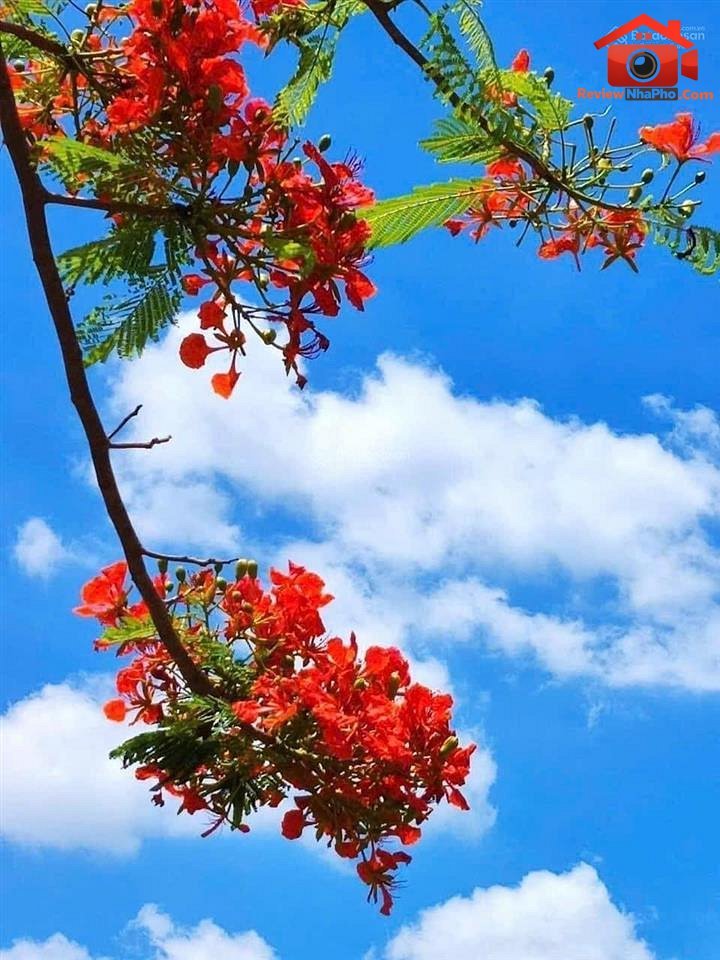 Bán nhà đất Đường Lê Văn Sỹ – Phường cũ Không xác định Quận Tân Bình – Thành phố Hồ Chí Minh REVIEW NHÀ PHỐ 42m2 – 6.89 tỷ