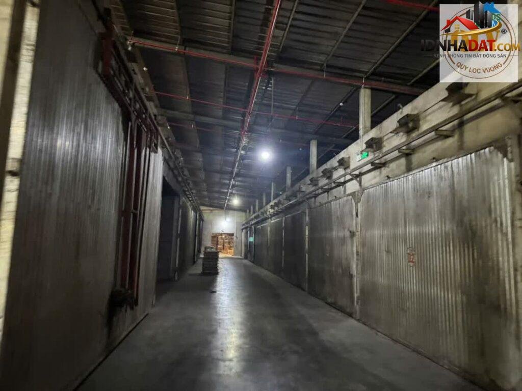 [Đánh giá Nhà Phố] Xưởng Gỗ 10.000m² Tại Phú Giáo, Bình Dương - Vị Trí Kết Nối Thuận Lợi - Review Nhà Phố - Ảnh 1