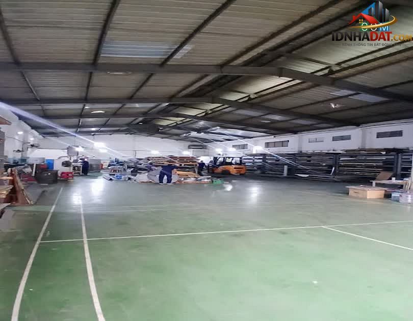 [Đánh giá Nhà Phố] Kho, Nhà Xưởng Mặt Tiền Mã Lò, Quận Bình Tân - Tiềm Năng Đầu Tư - Review Nhà Phố - Ảnh 1