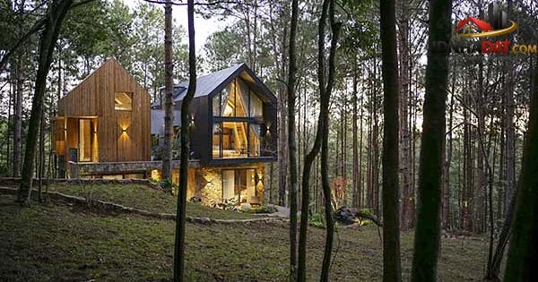 Khám Phá Biệt Thự Gỗ Đá Rối Giữa Rừng Thông Đà Lạt