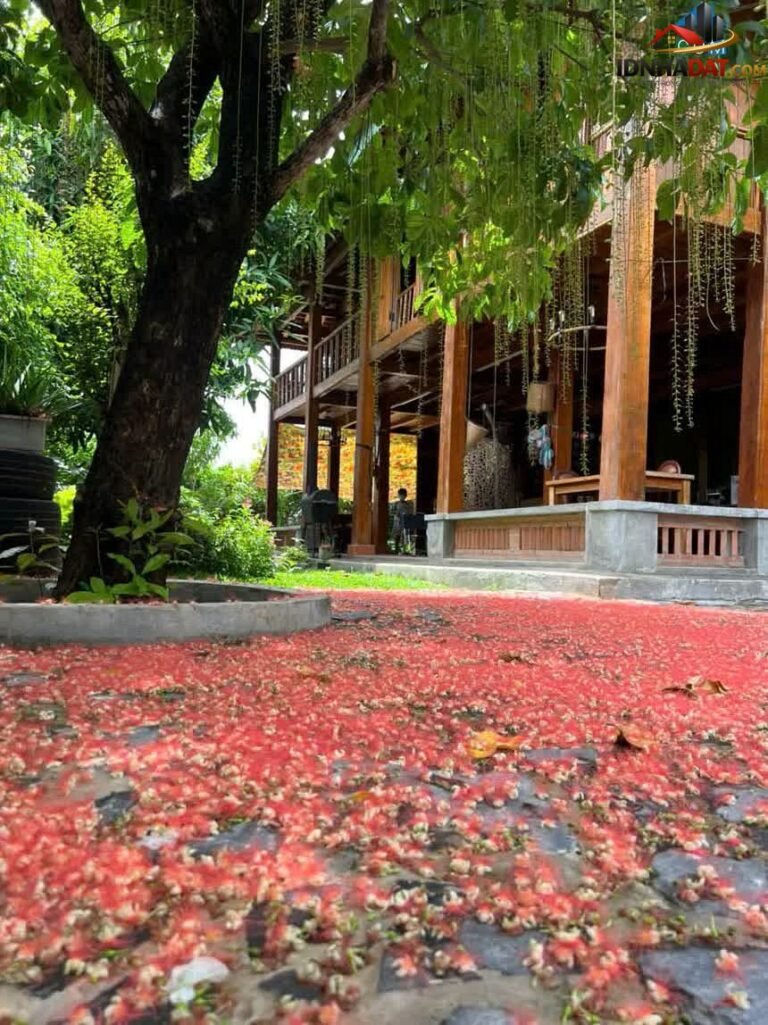 Bán nhà đất Đường Nguyễn Văn Tạo – Phường cũ… – Bán biệt thự Huyện Nhà Bè – TP Hồ Chí Minh giá 5 – 7 tỷ