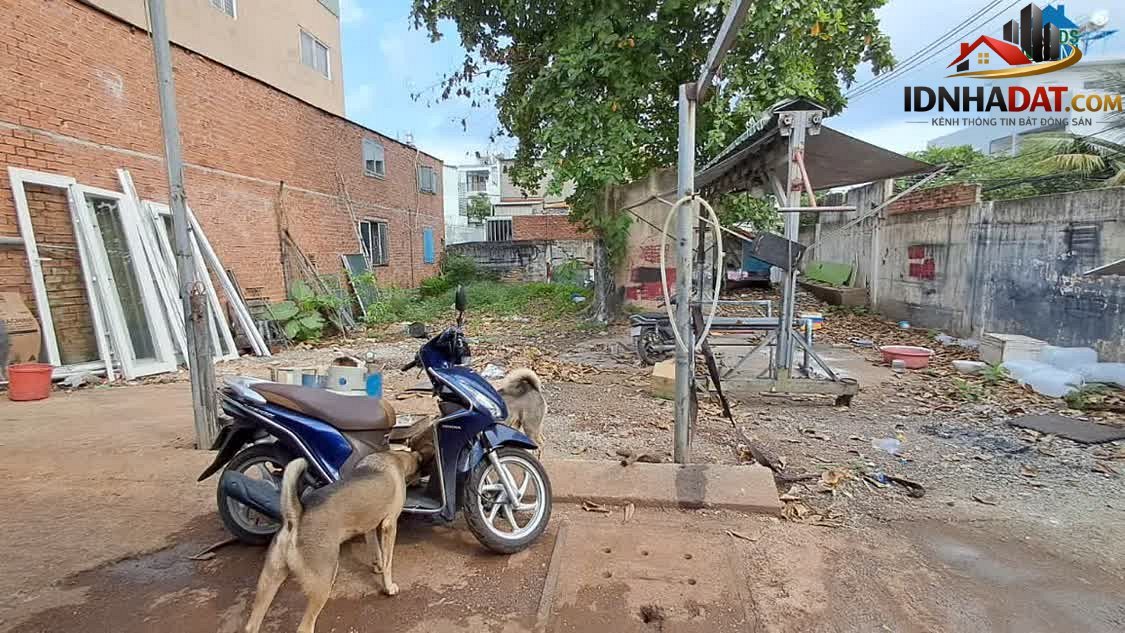 [Review Nhà Phố] Đất Hiệp Bình Chánh 248m², Giá Hấp Dẫn 13.5 Tỷ Tại Thủ Đức - Review Nhà Phố - Ảnh 1