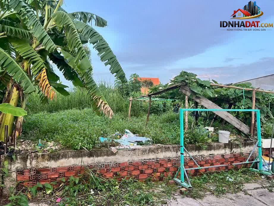 [Review Nhà Phố] Đất thổ cư đường Nguyễn Văn Tạo, Nhà Bè: Tiềm năng phát triển vượt trội - Review Nhà Phố - Ảnh 1