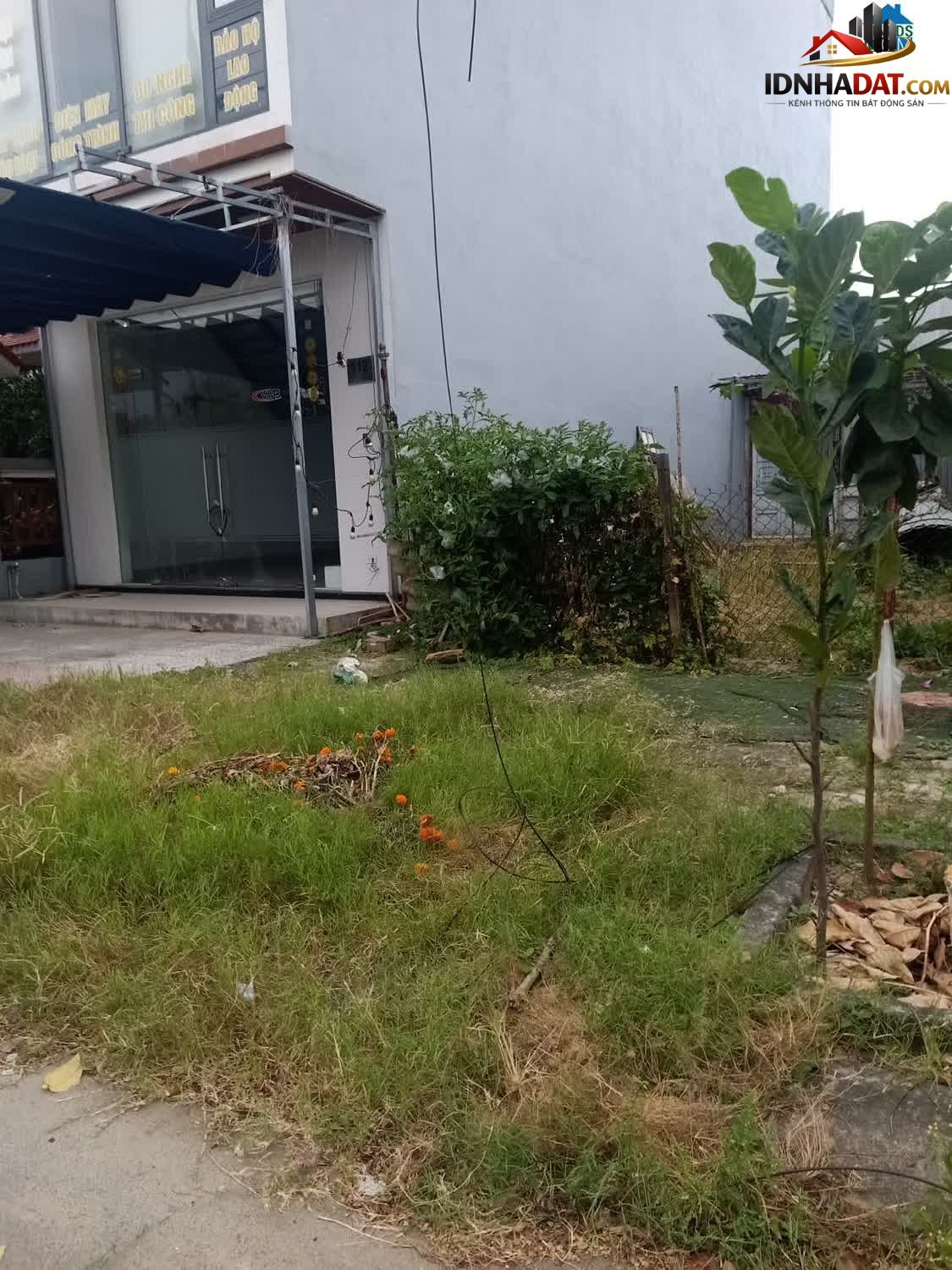 [Review Nhà Phố] Đất nền 100m² đường Bùi Vịnh, Cẩm Lệ – Tiềm năng đầu tư 3.9 tỷ - Review Nhà Phố - Ảnh 1