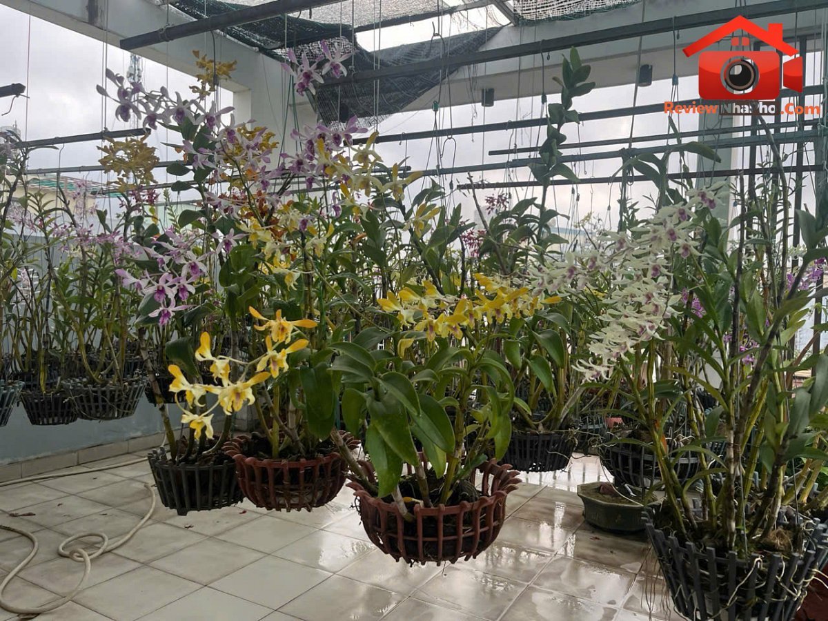 Bán nhà đất Đường số 339 – Phường cũ Phước Long B Quận 9 – Phường mới Phước Long – Thành phố Hồ Chí Minh 100m2 11.6 tỷ