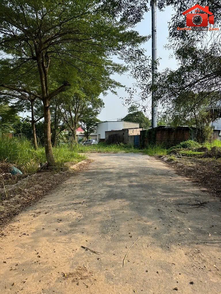 Đất đẹp nguyễn bình khu quy hoạch đường nhựa đồng bộ 8m – Phường cũ Bến Nghé Quận 1 – Phường mới Bến Nghé – Thành phố Hồ Chí Minh 82.5m2 – 4 tỷ