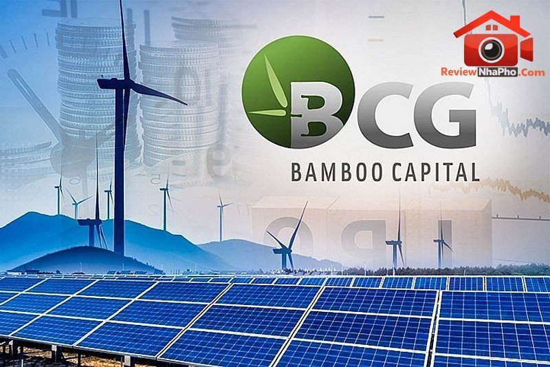 Cập nhật Bamboo Capital: Lùi đại hội cổ đông 2026 & triển vọng đầu tư