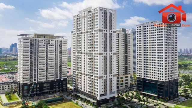 Taseco Land Mở Rộng Đầu Tư Bất Động Sản: Xu Hướng 2026 Tại TP Hồ Chí Minh & Đà Nẵng