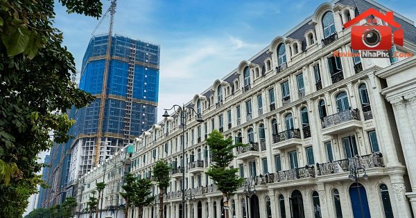 Phân Tích Lợi Nhuận và Tiềm Năng Đầu Tư Của Sunshine Group 2026