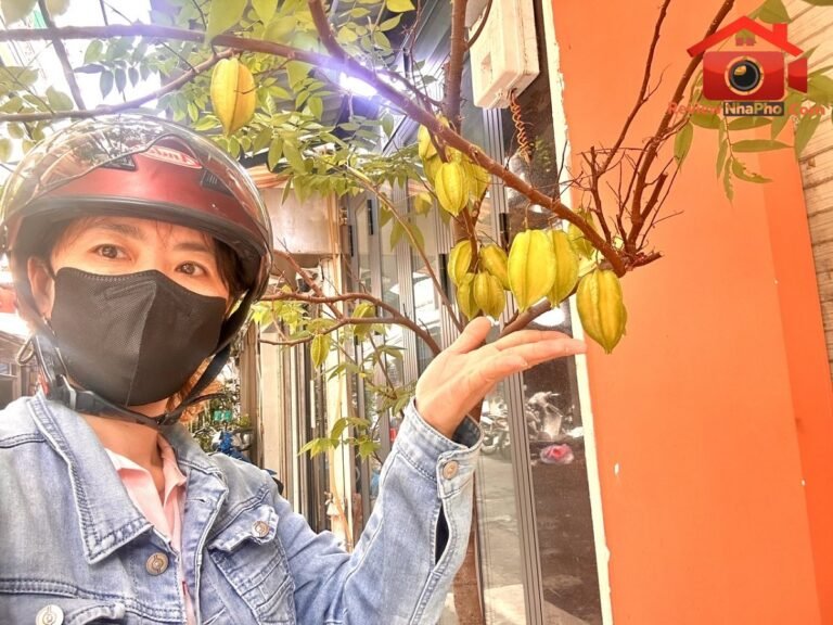 Bán nhà đất Đường 34 – Phường cũ Khánh Hội Quận 6 – Phường mới Khánh Hội – Thành phố Hồ Chí Minh diện tích 28m2 giá 8750000000