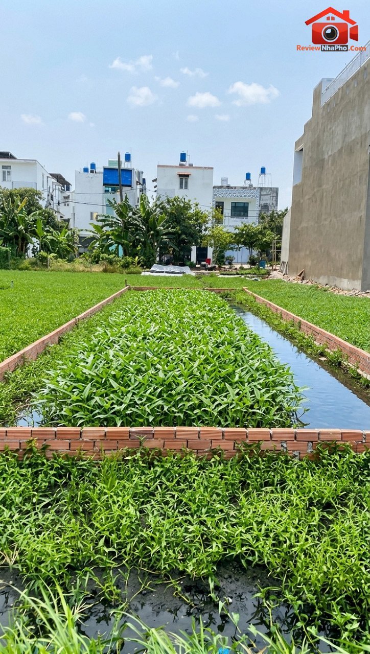 K2580 đất vuông vức 100m2 hẻm xe hơi sát chợ thạnh xuân – Phường cũ Thạnh Xuân Quận 12 – Phường mới Thạnh Xuân – Thành phố Hồ Chí Minh 2.4 tỷ