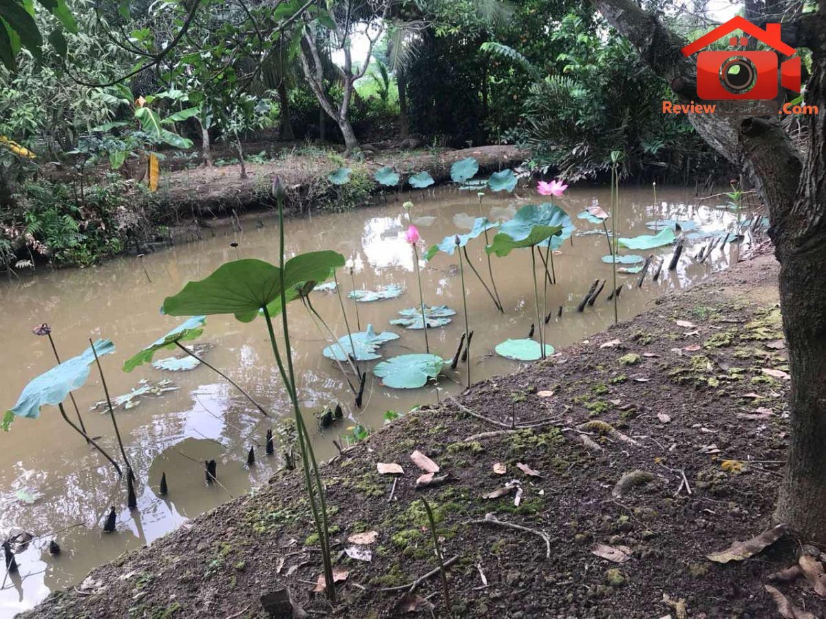 Chính chủ cần bán gấp đất đường Long Phước –… – Bán đất Quận Thủ Đức – TP Hồ Chí Minh giá 40 – 80 tỷ