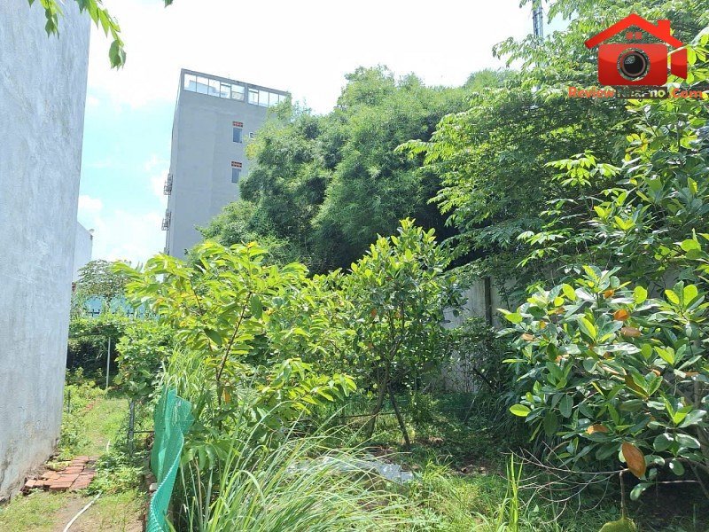 Bán gấp nhà vườn Đường 182 – Phường cũ Tăng Nhơn Phú A Quận 9 – Phường mới Tăng Nhơn Phú A – Thành phố Hồ Chí Minh 660m2 18.3 tỷ