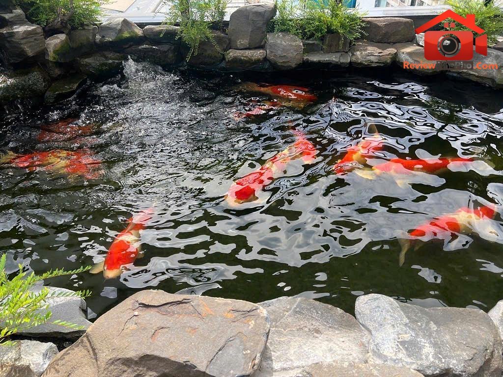 Bán siêu phẩm biệt thự 9 tầng khu đô thị phú mỹ hưng quận 7 – căn góc 2 mặt tiền hiếm diện tích 200m2 giá 130 tỷ