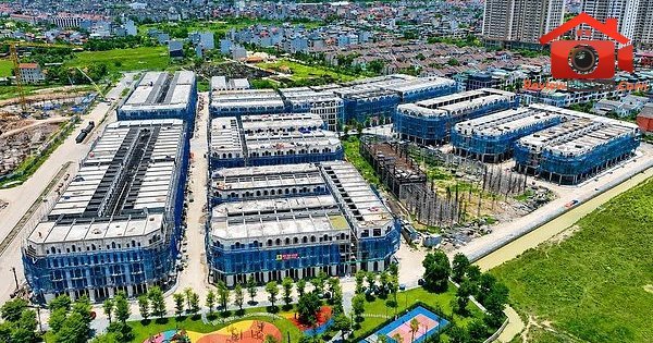 Phân Tích Lợi Nhuận Sunshine Group Quý II/2026: Điều Gì Đứng Sau Thành Công Này?