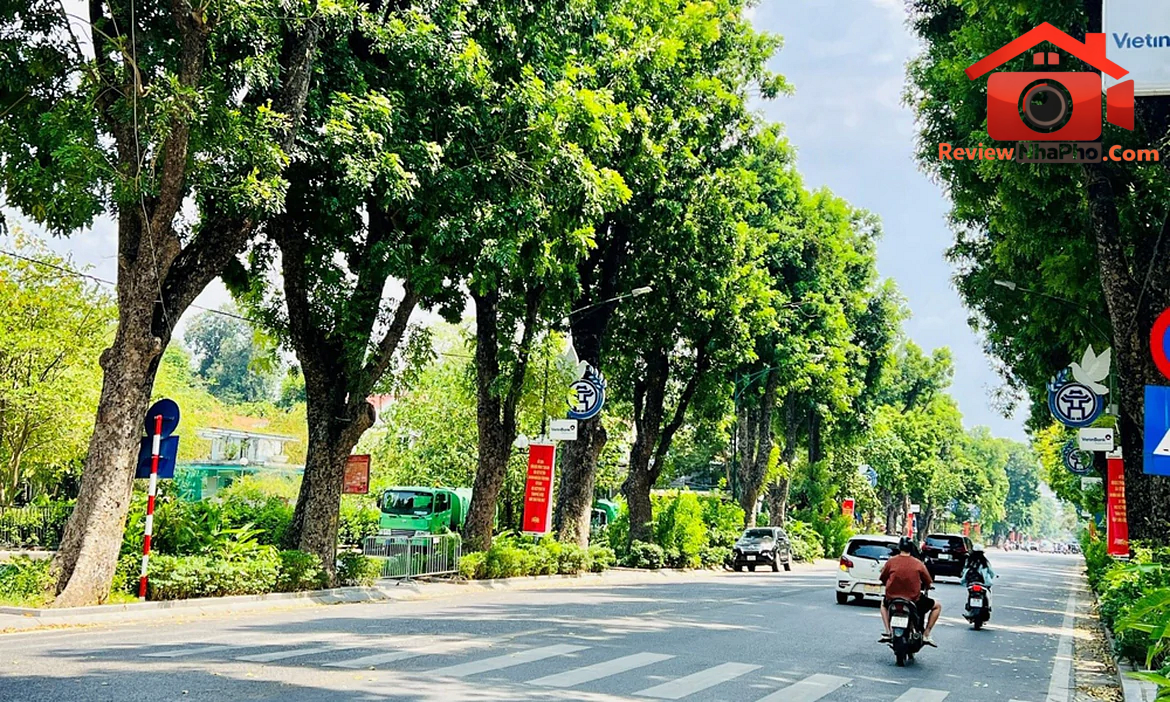 Bộ Xây dựng ban hành Thông tư hướng dẫn quản lý cây canh đô thị - Ảnh 2.