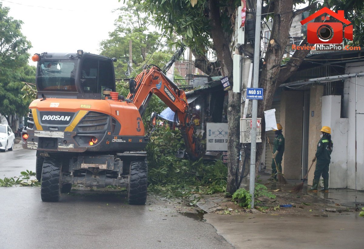 Nghệ An: Cắt tỉa 5.000 cây xanh trên các tuyến phố, đảm bảo an toàn trước mùa mưa bão- Ảnh 2.