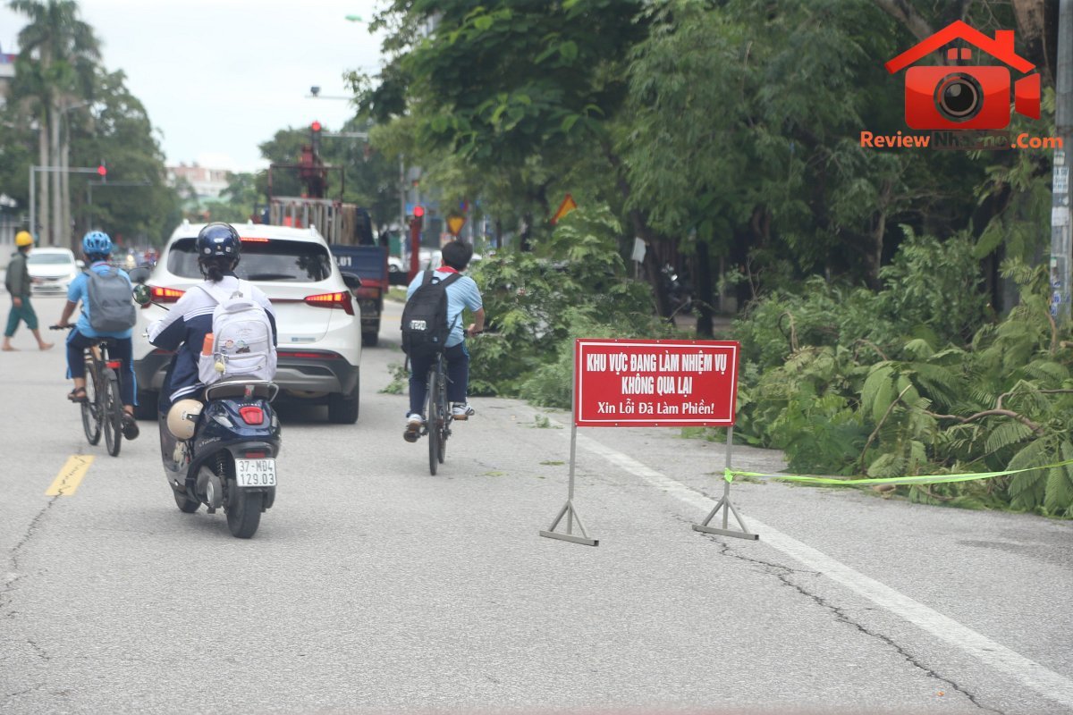 Nghệ An: Cắt tỉa 5.000 cây xanh trên các tuyến phố, đảm bảo an toàn trước mùa mưa bão- Ảnh 4.