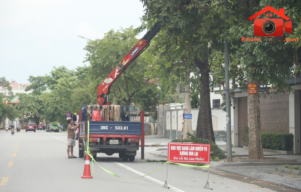 Nghệ An: Cắt tỉa 5.000 cây xanh trên các tuyến phố, đảm bảo an toàn trước mùa mưa bão- Ảnh 5.