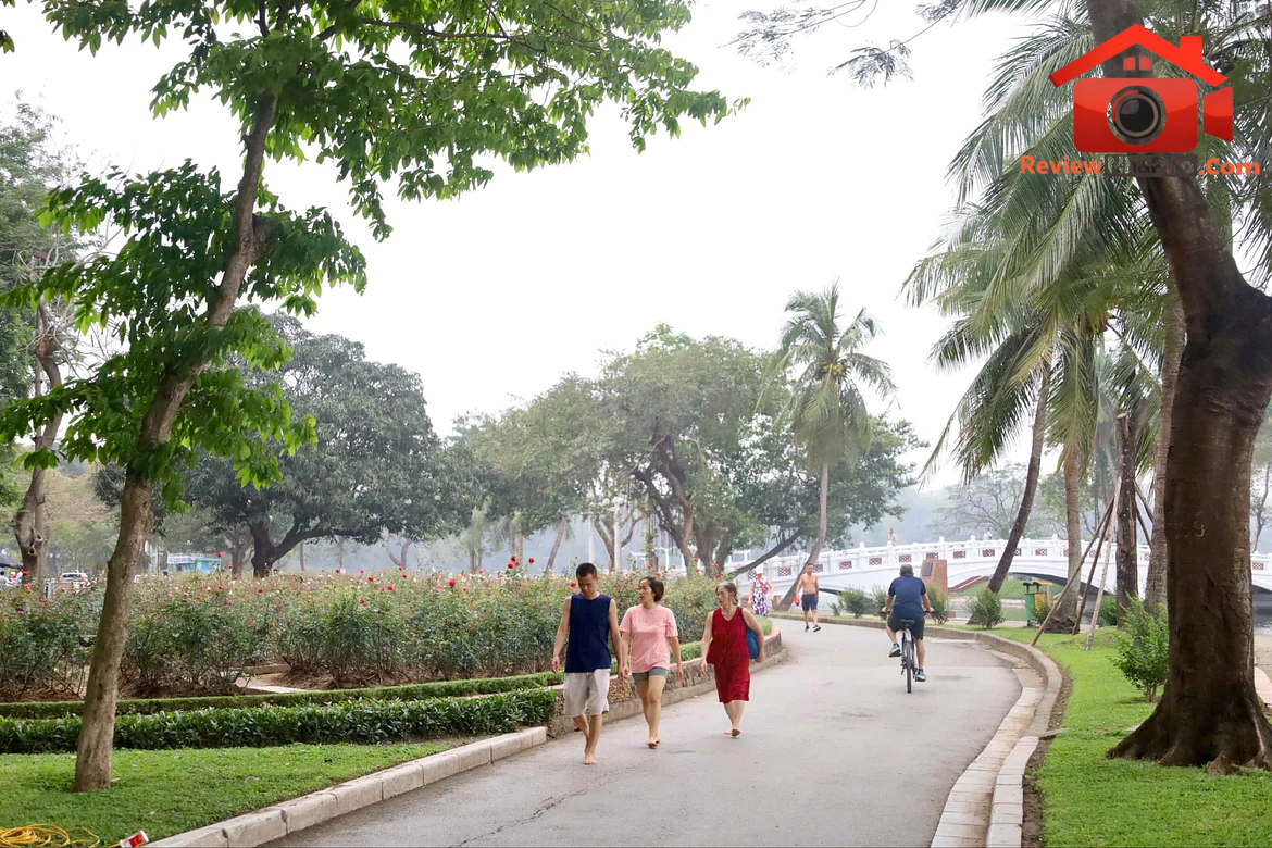 Bộ Xây dựng ban hành Thông tư hướng dẫn quản lý cây canh đô thị - Ảnh 1.