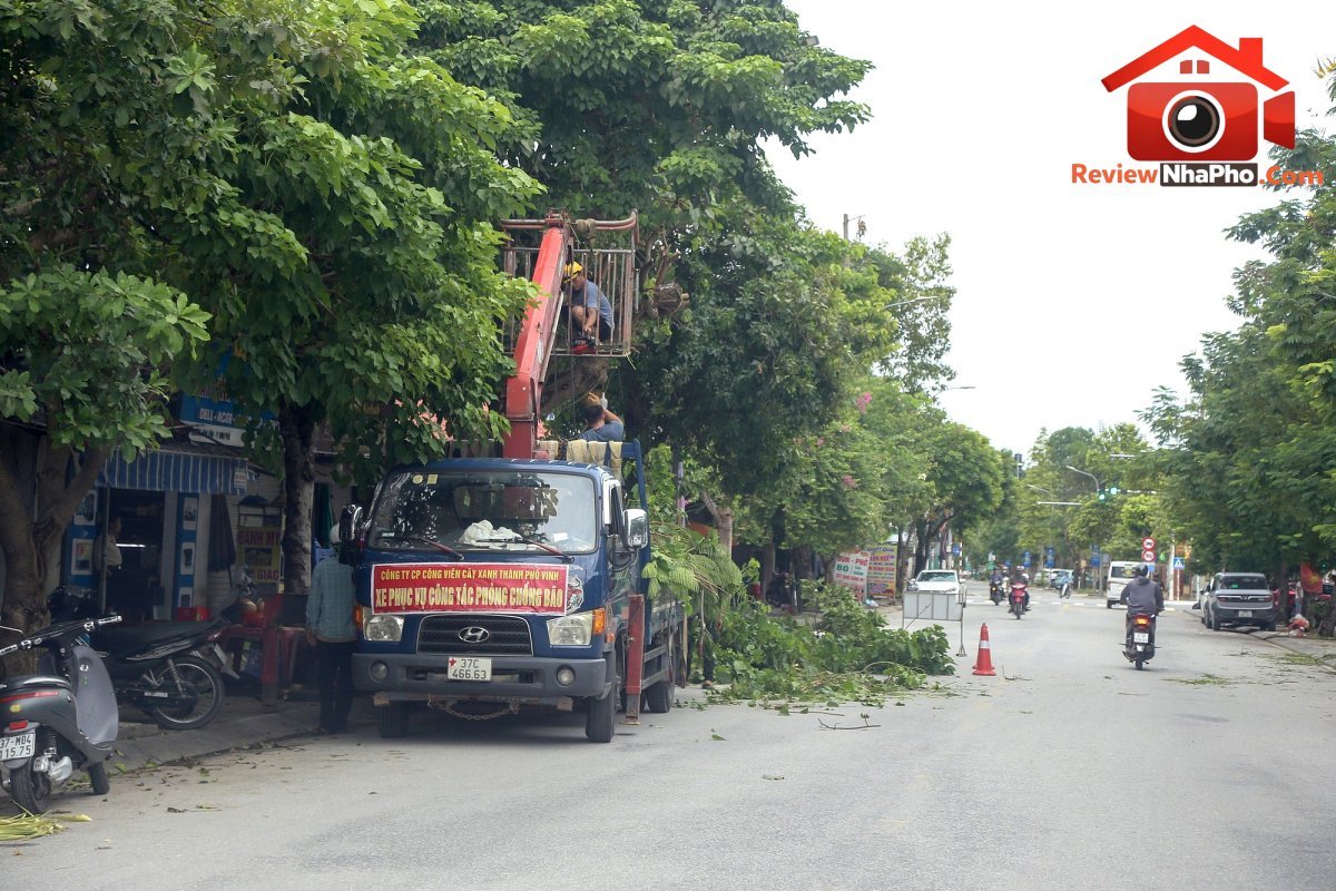 Nghệ An: Cắt tỉa 5.000 cây xanh trên các tuyến phố, đảm bảo an toàn trước mùa mưa bão- Ảnh 1.