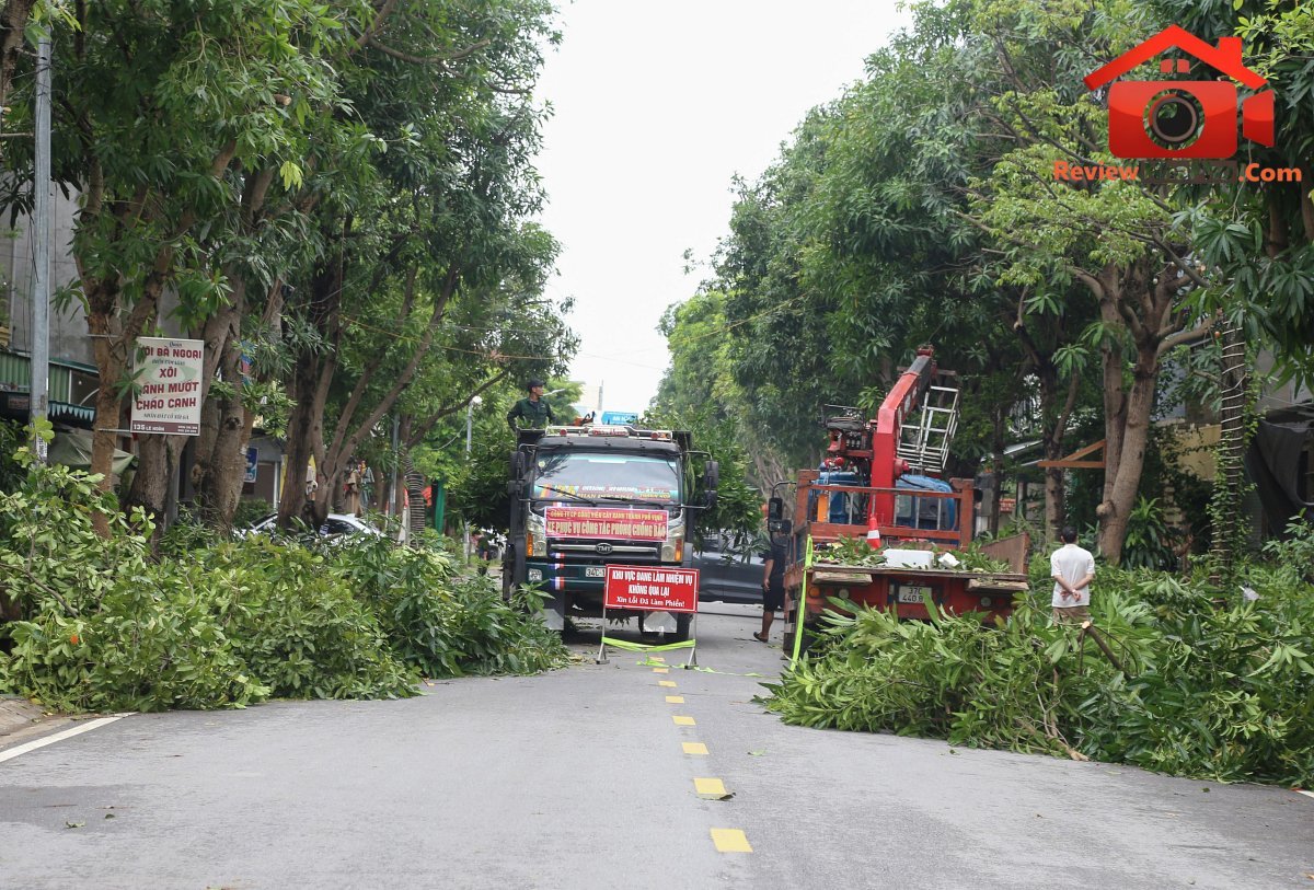 Nghệ An: Cắt tỉa 5.000 cây xanh trên các tuyến phố, đảm bảo an toàn trước mùa mưa bão- Ảnh 3.