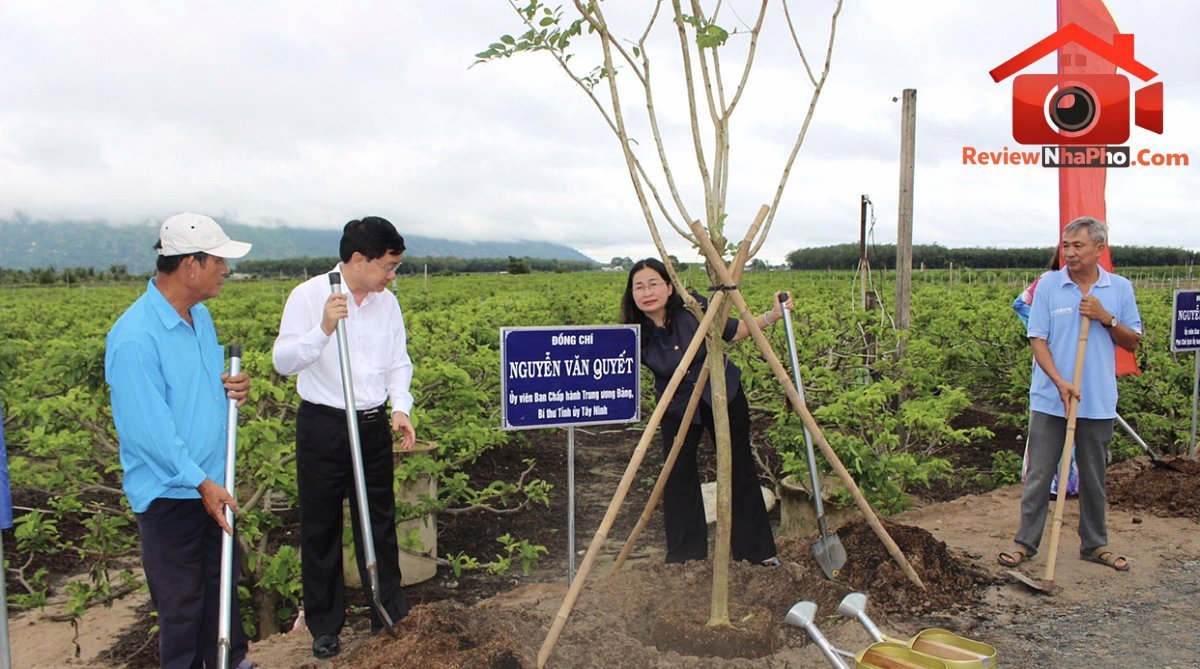 Tây Ninh giảm rác thải, hướng tới phát triển đô thị xanh- Ảnh 1.