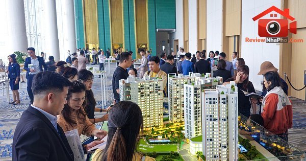 Thực trạng cấp chứng chỉ môi giới bất động sản tại Việt Nam