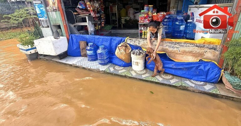 Ngập lụt tại khu dân cư Hương Phước, Đồng Nai sau lũ