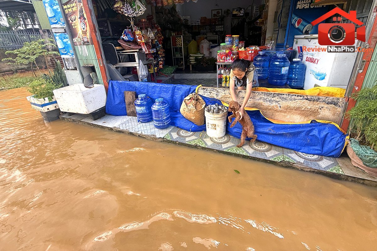Lũ sông Buông tràn về, khu dân cư cạnh cao tốc ở Đồng Nai lại ngập - Ảnh 1.