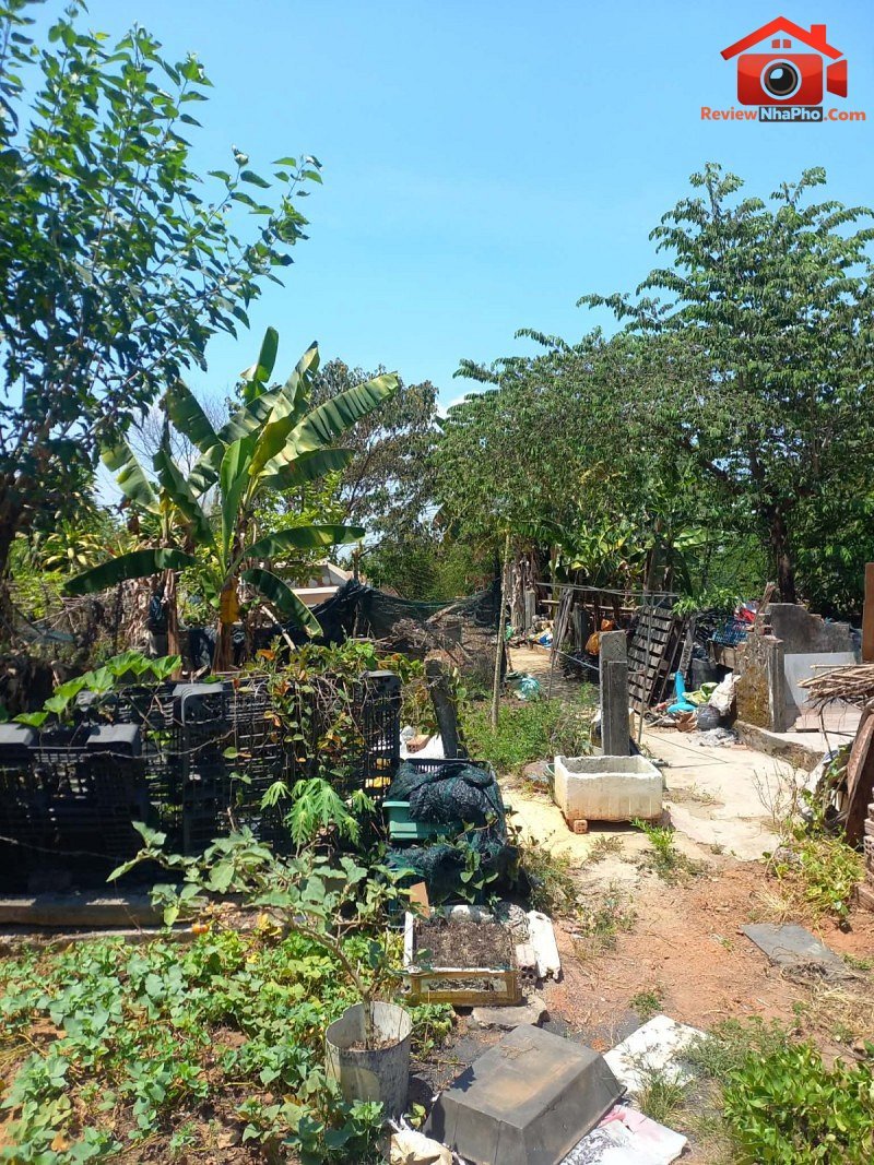 Bán đất mặt tiền Trường Sơn, sát KCN Hòa Cầm, 295m2, giá 9,9 tỷ nhà đất bất động sản sổ đỏ