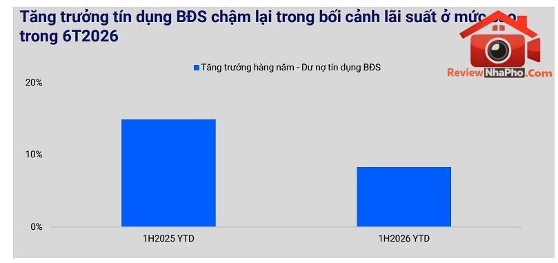 vis-du-bao-thi-truong-va-doanh-nghiep-bat-dong-san2.jpg