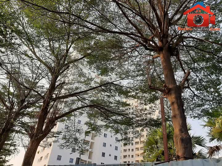 Review nhà phố 4xxx Nguyễn Cửu Phú phường Tân Tạo A quận Bình Tân TP.HCM