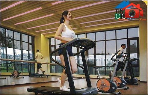 Review nhà phố Quận Bình Tân TP.HCM căn hộ Hoàng Kim Thế Gia 83m² giá 2.6 tỷ