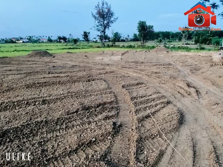 Bán đất 2000m² Thăng Bình Quận Bình Tân TP.HCM giá 4 tỷ