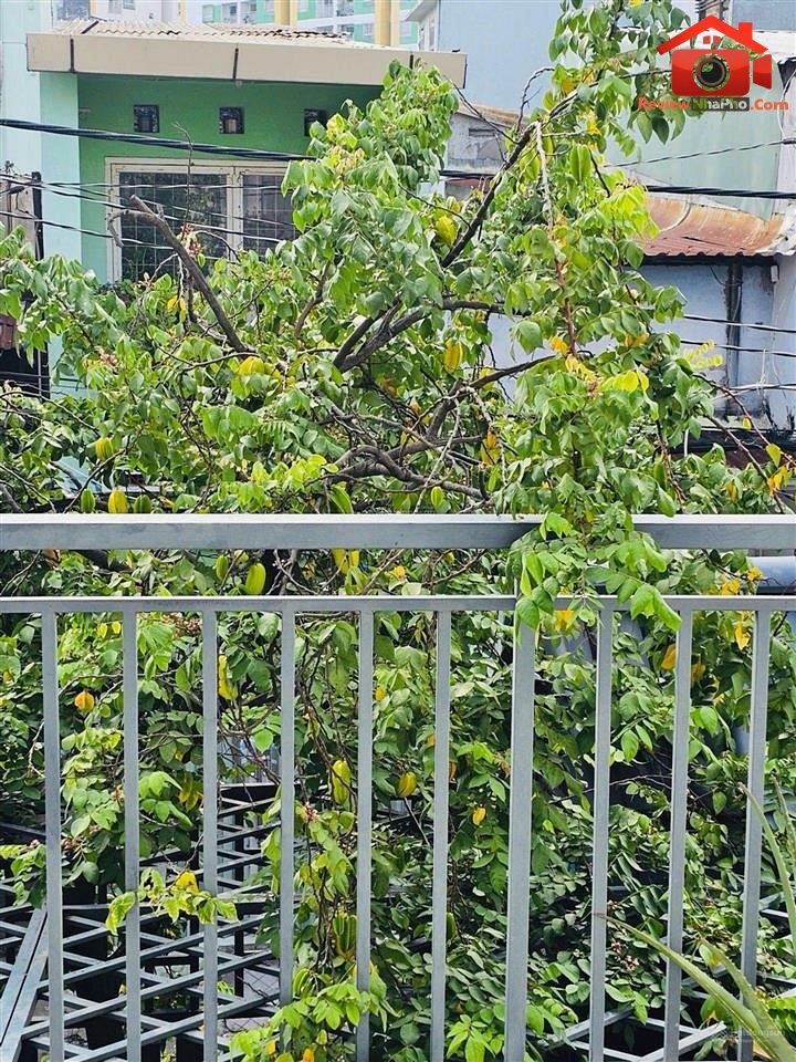 Review nhà phố Trần Tấn Quận Tân Phú TP.HCM – Nhà 81m2 giá 6 tỷ