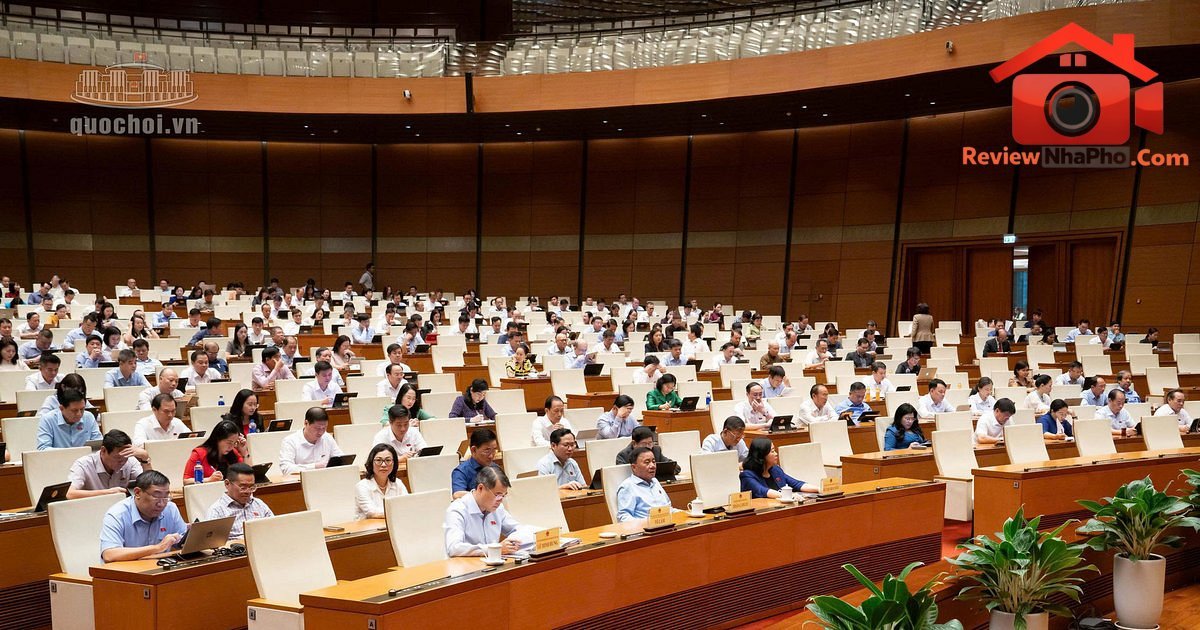 Chính phủ đề xuất thuế 0,2% với đất bỏ hoang