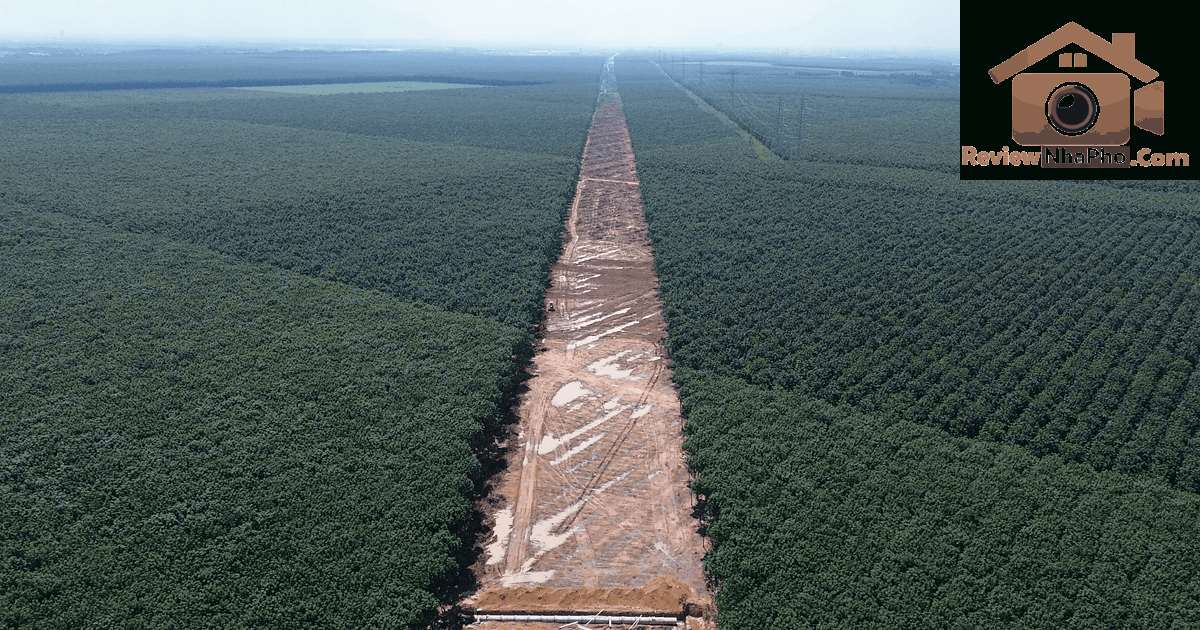 Đường ĐT.769: Hướng đi mới kết nối sân bay Long Thành