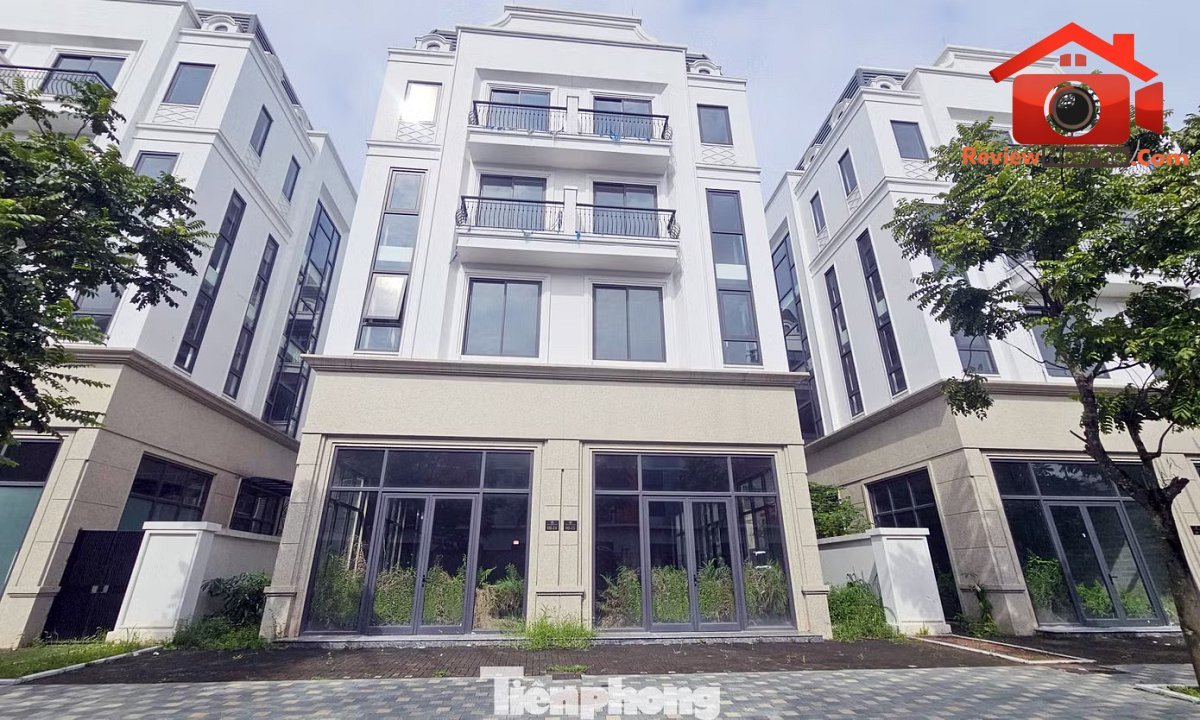 Chuyên gia đề xuất thí điểm mức thuế 0,2% với đất bỏ hoang trước khi áp dụng rộng. Đất bỏ hoang có thể chịu thuế 0,2%: Thí điểm trước khi áp dụng rộng rãi - Ảnh 1.