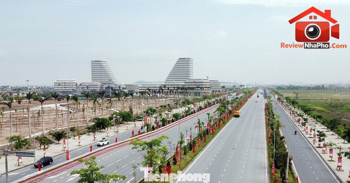 Đấu giá đất vàng Hải Phòng – Cơ hội đầu tư tiềm năng