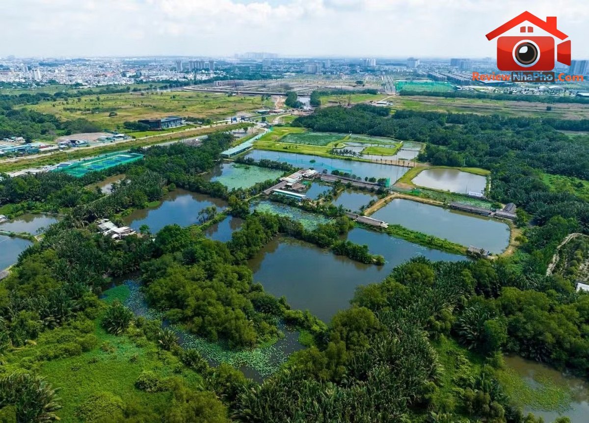 TPHCM dự kiến có thêm 147 khu đất, tổng diện tích hơn 854 ha để thực hiện dự án nhà ở thương mại thí điểm theo Nghị quyết 171/2024/QH15. TPHCM xem xét đưa 147 khu đất thí điểm làm nhà ở thương mại - Ảnh 1.