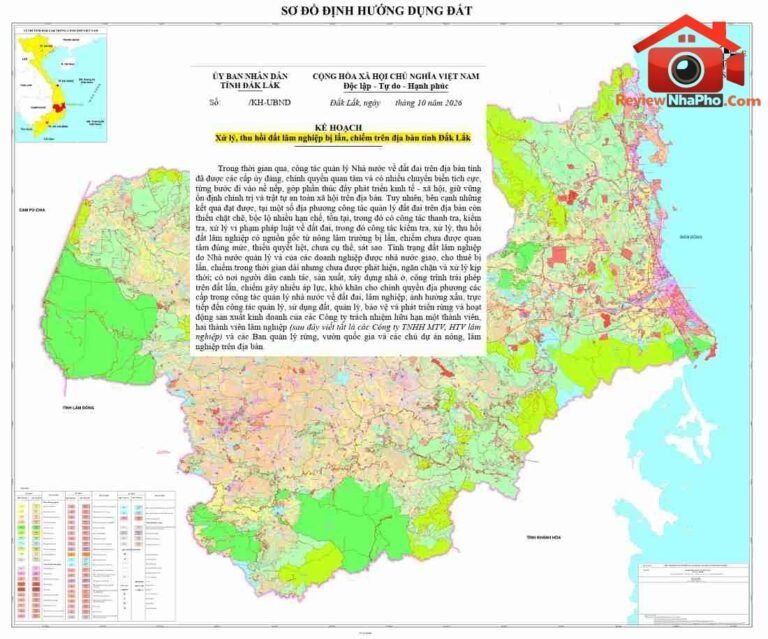 Đắk Lắk: Thu hồi đất lâm nghiệp và cấp sổ đỏ 2026-2028
